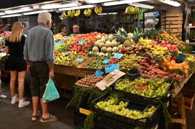 Istat: pil visto in crescita. +1% nel 2024