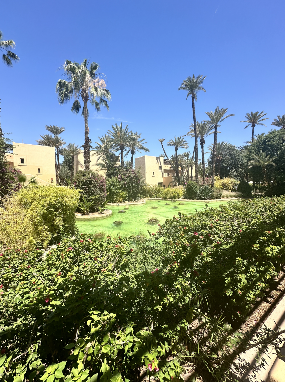 Galleria foto 'Club Med Le Palmeraie, dove vive la cultura marocchina tra lusso e relax' - foto 4