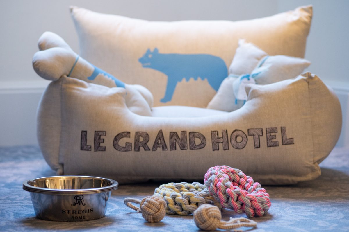 Galleria foto 'In vacanza col cane: gli hotel al mare più pet friendly d’Italia' - foto 3