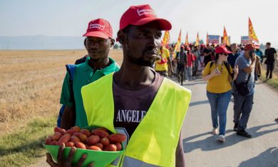 Pomodori e schiavi in Puglia, il reportage del cronista di Panorama sul caporalato