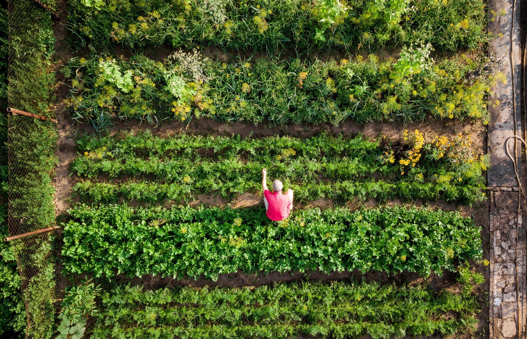 Solo la terra genera cibo vero