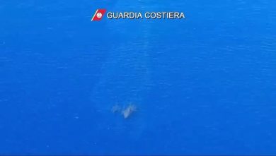 Barca in fiamme: Stefania Craxi salvata in mare all’Elba | video