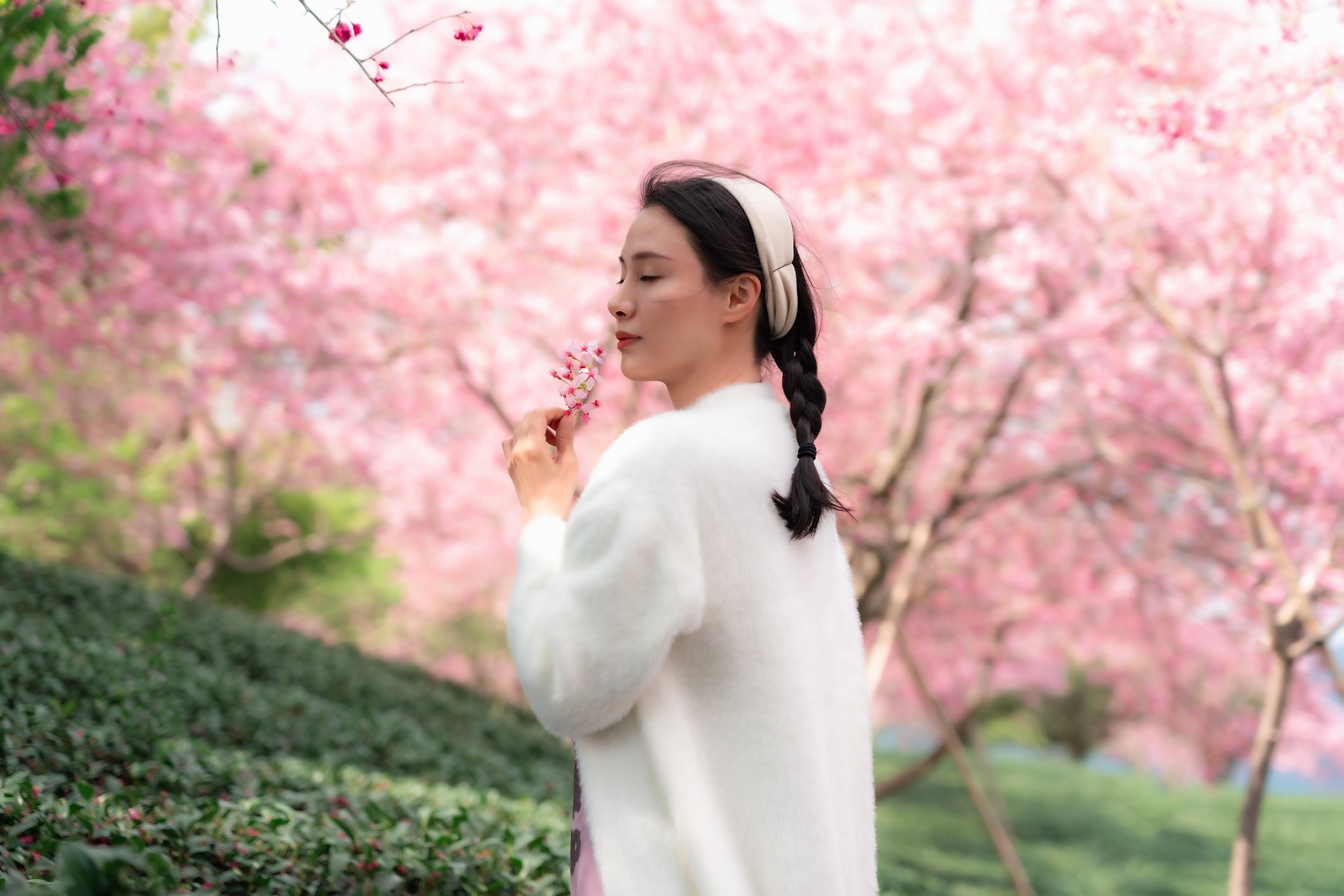 “Mamma mi sono sposata. Sì, con un albero e si chiama Ciliegio!”