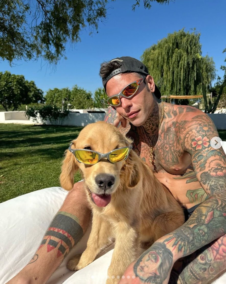 Vita nuova, cane pure