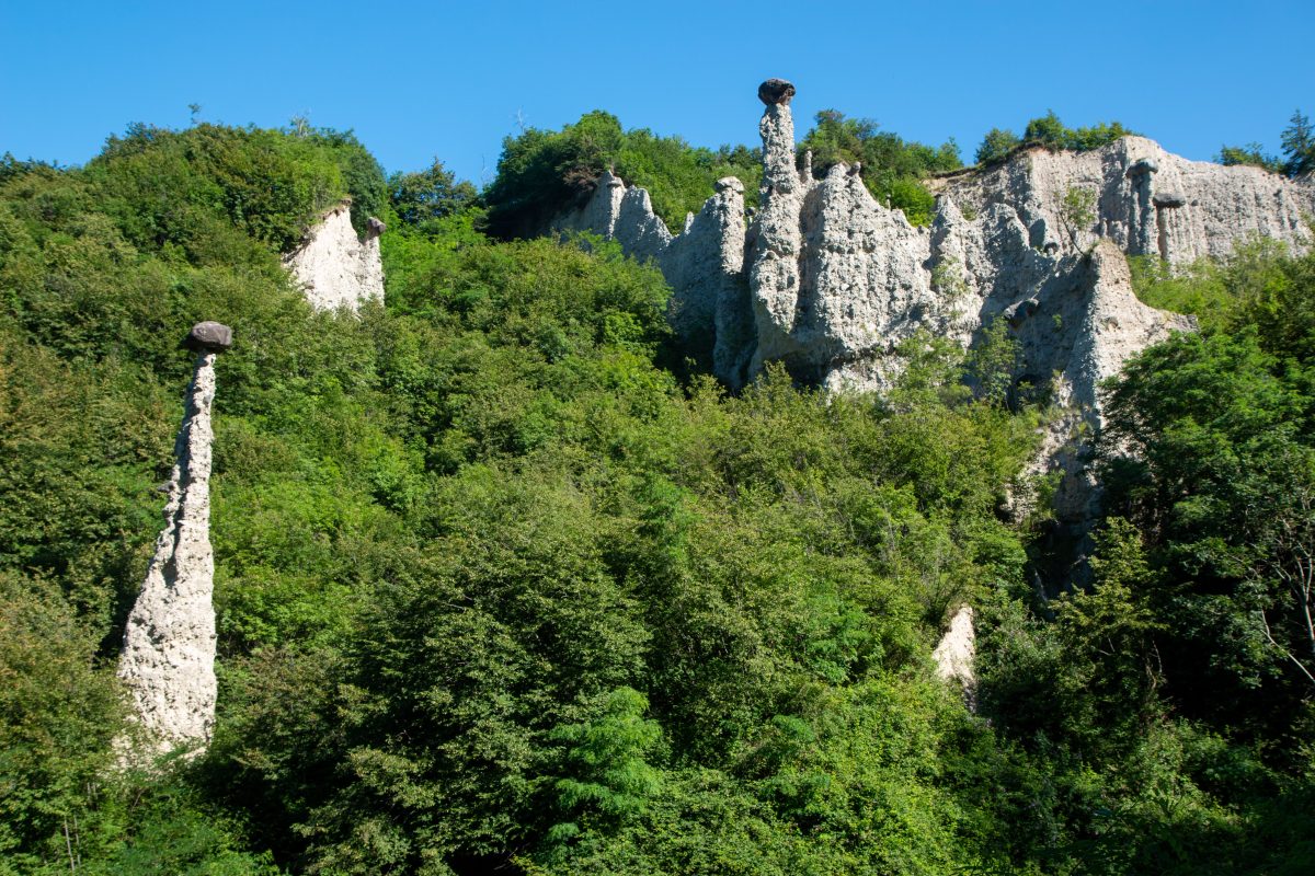 Galleria foto 'Tra lentezza e adrenalina' - foto 3