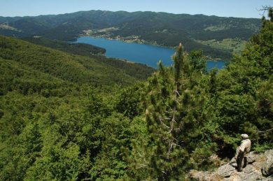 Dalla Calabria con sapore