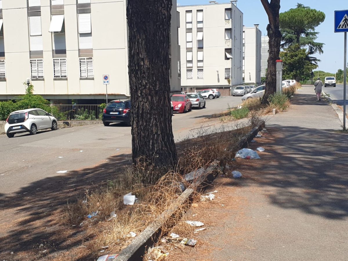 Galleria foto 'Tor Bella Monaca: Il volto nascosto di Roma' - foto 12