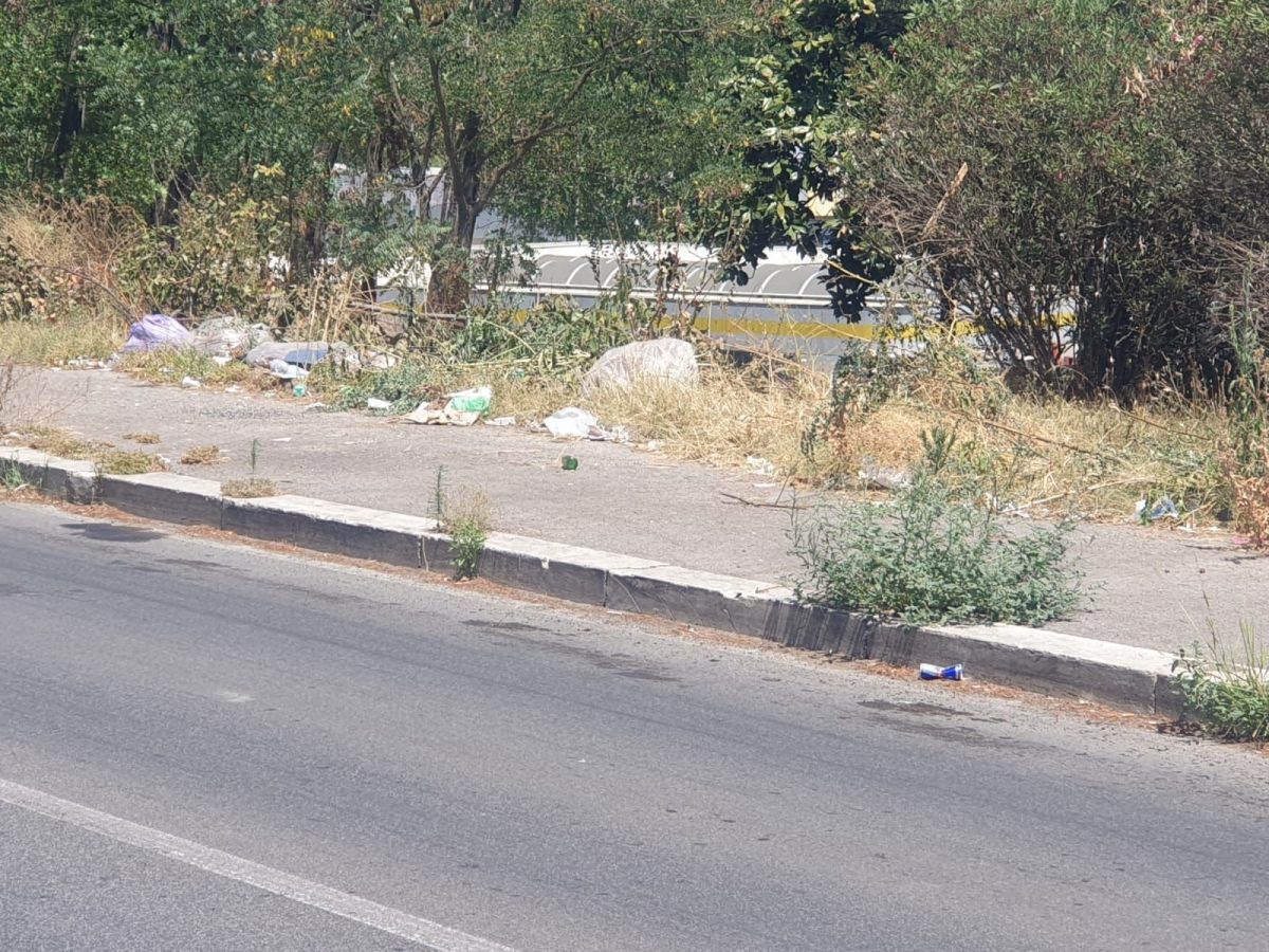 Galleria foto 'Tor Bella Monaca: Il volto nascosto di Roma' - foto 9