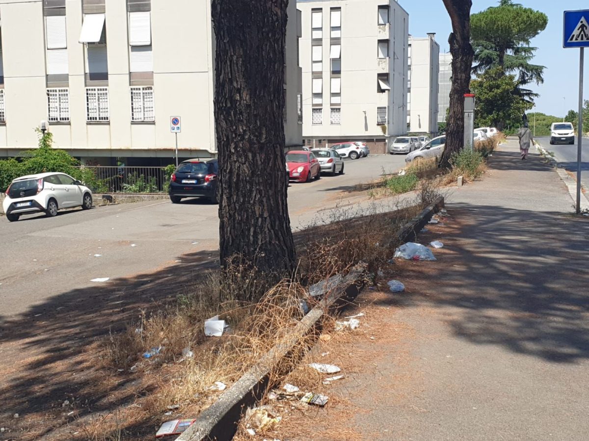 Galleria foto 'Tor Bella Monaca: Il volto nascosto di Roma' - foto 5