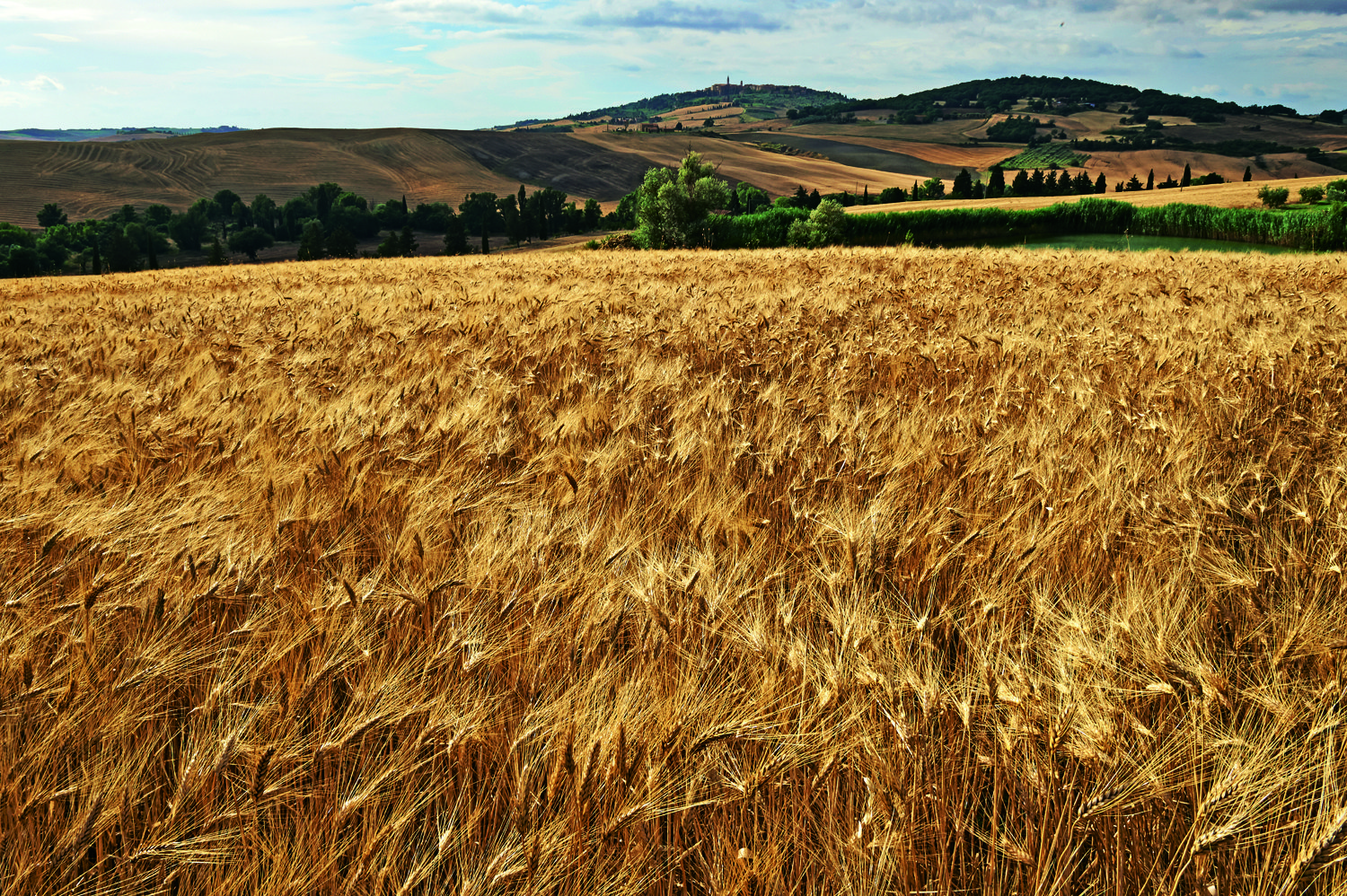 Agricoltura a rischio: la guerra della dieta mediterranea