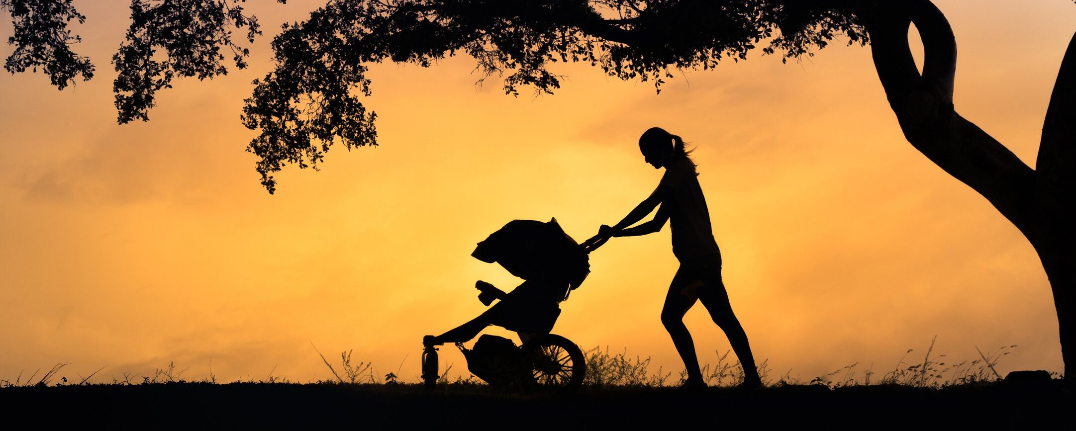 Bonus mamme lavoratrici 2025: al via le domande per il contributo fino a 480 euro Bonus mamme lavoratrici 2025: al via le domande per il contributo fino a 480 euro