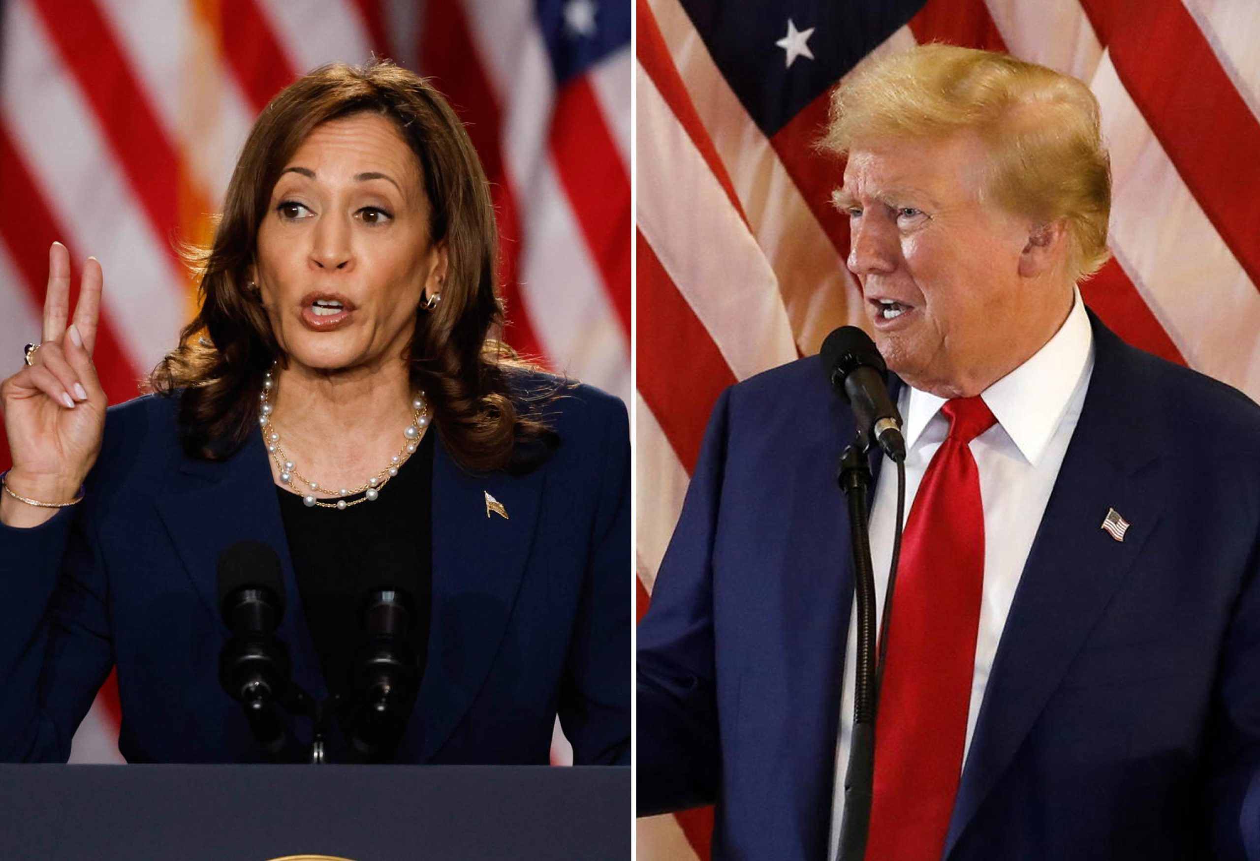 Trump-Harris, cosa voteranno i vip