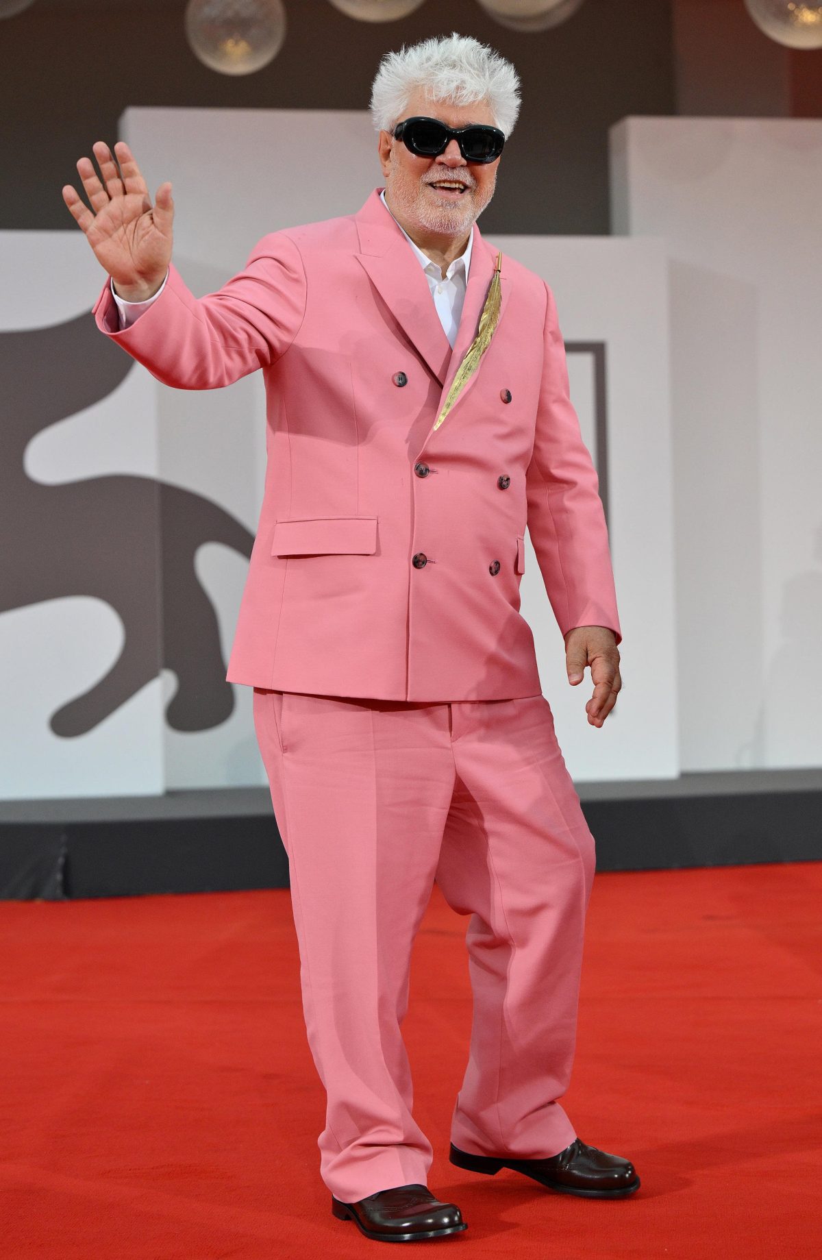 Galleria foto 'Venezia 2024: il meglio dal red carpet' - foto 1