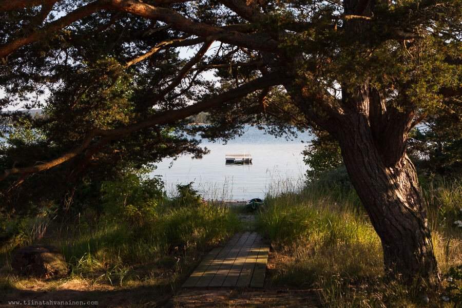 Il fascino della Finlandia: Tra natura incontaminata ed esperienze inusuali
