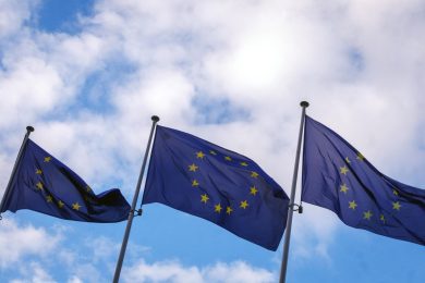 Berlino, cercasi alleati per difesa comune