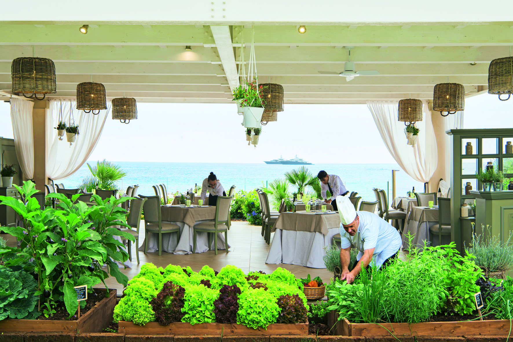 Le migrazioni estive degli chef stellati