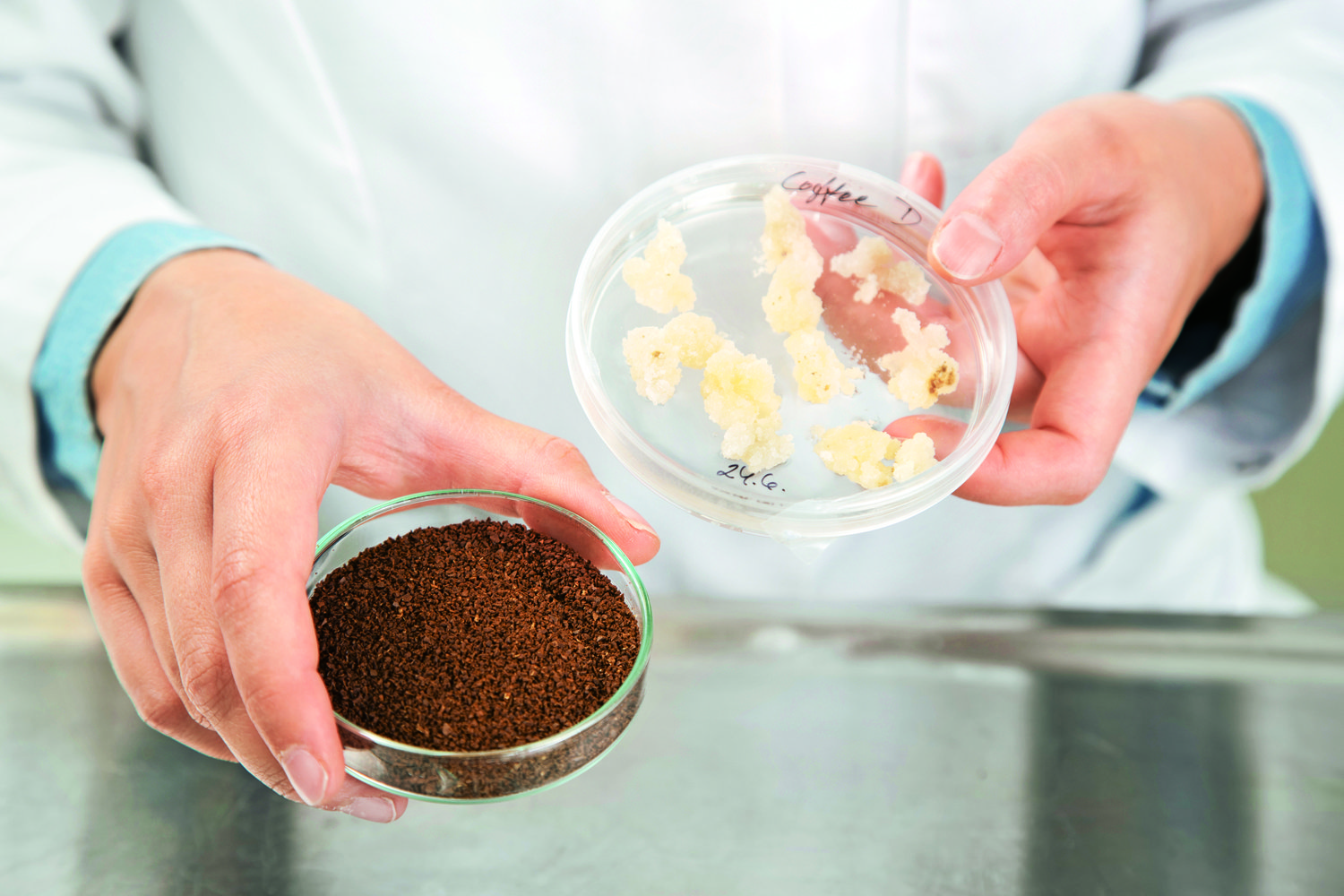 Aberrazioni alimentari: ora pure il caffè viene prodotto in laboratorio Aberrazioni alimentari: ora pure il caffè viene prodotto in laboratorio