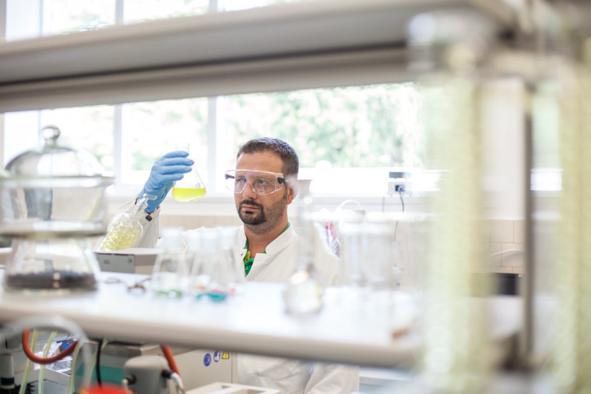 Galleria foto 'Una giornata celebra la gomma da masticare' - foto 2