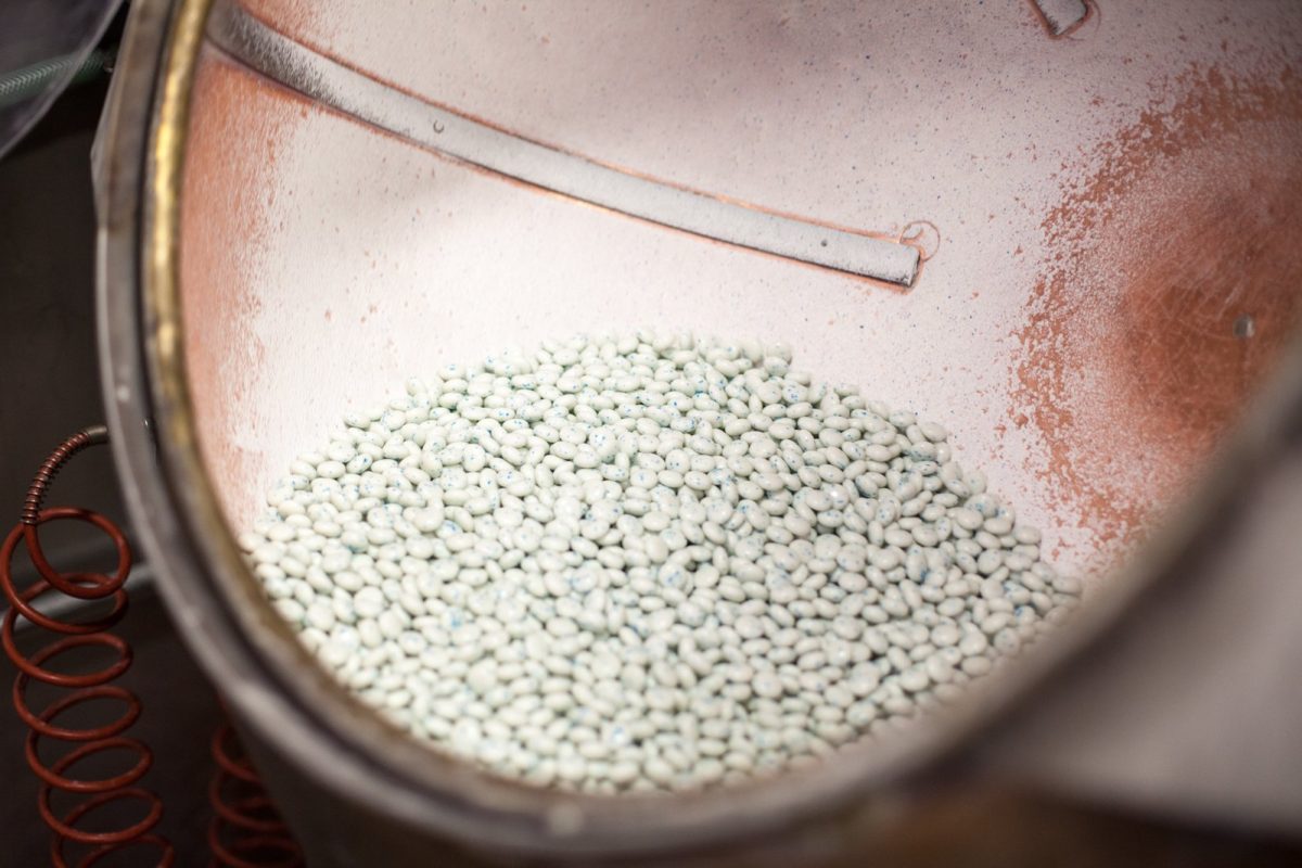 Galleria foto 'Una giornata celebra la gomma da masticare' - foto 6