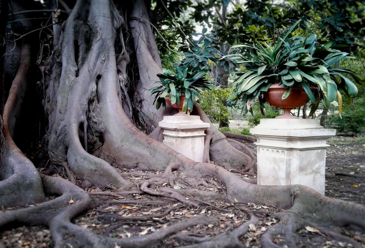 Galleria foto 'Giungle urbane, i migliori luoghi dove «respirare» tra i grattacieli' - foto 5