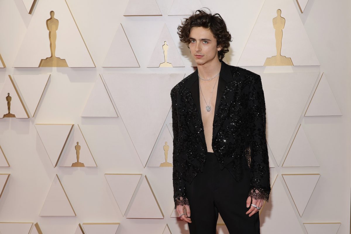 Galleria foto 'Timothée Chalamet e il fil rouge con la moda' - foto 6