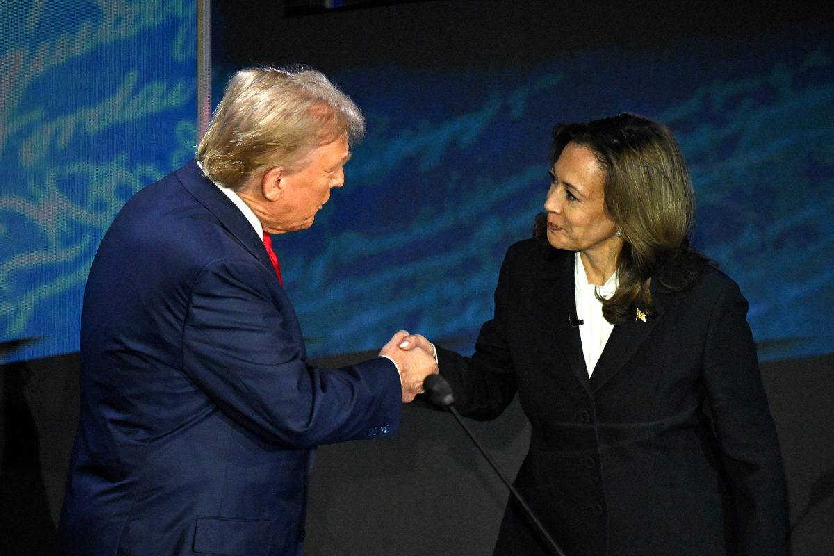 Galleria foto 'Quanto stanno spendendo online Trump e Harris' - foto 1