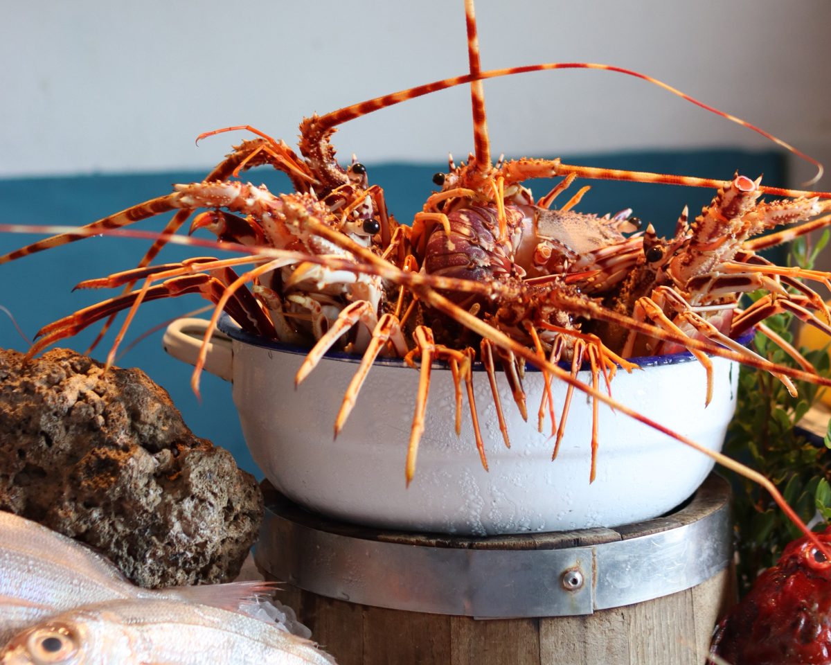 Galleria foto 'Il mare sta male' - foto 2