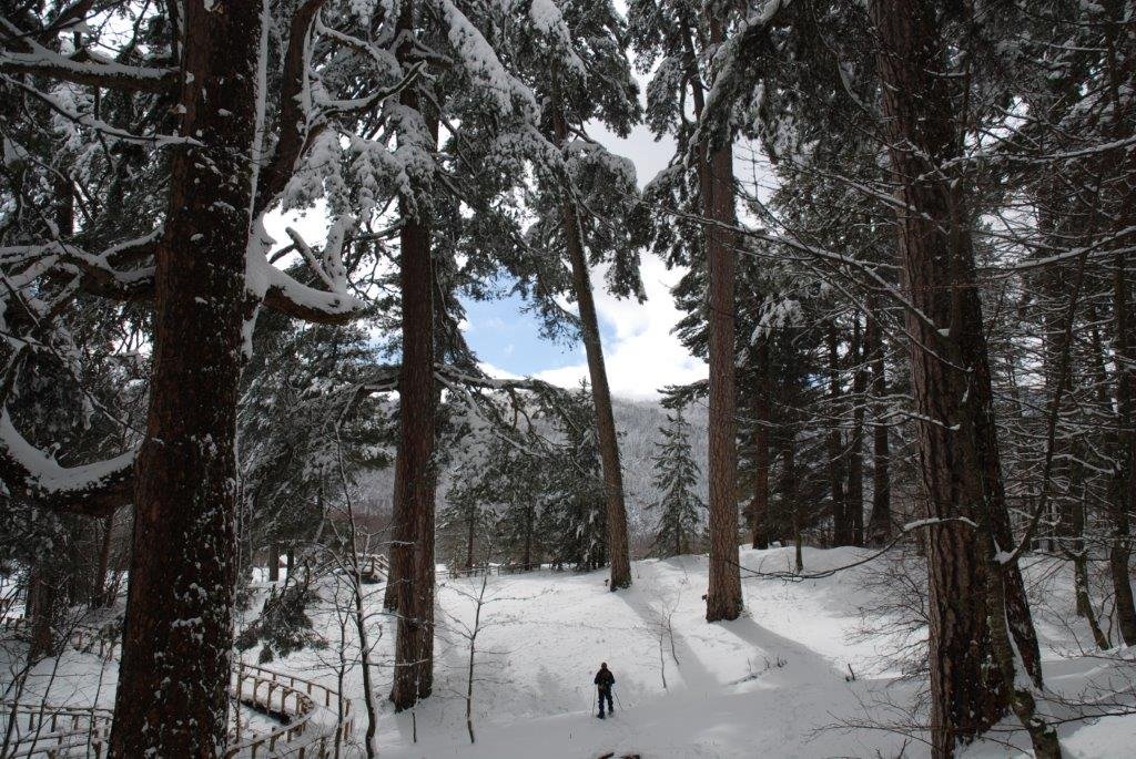 Gran folla all’ombra dei “giganti buoni”