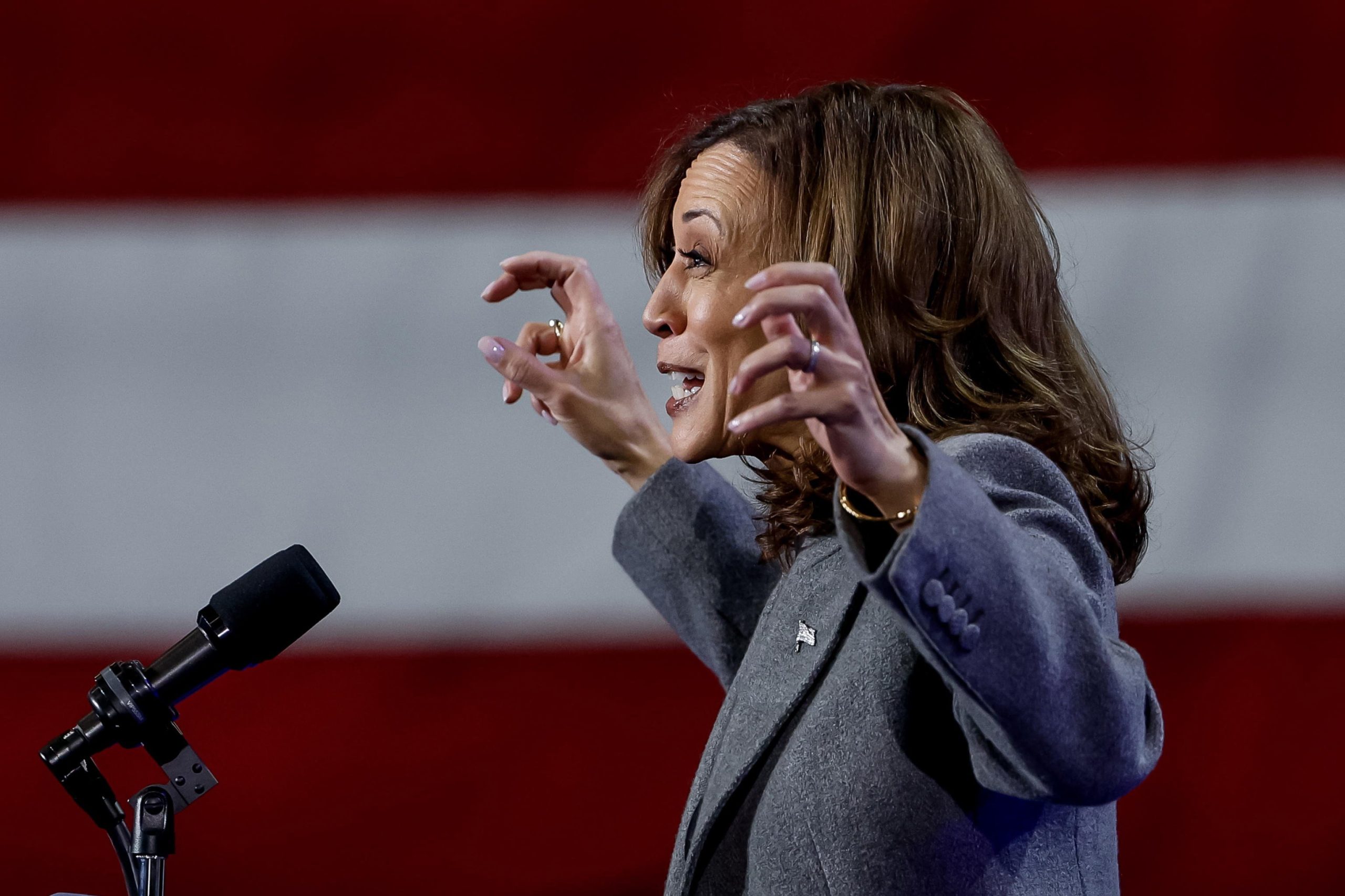 Da chi deve guardarsi Kamala Harris?