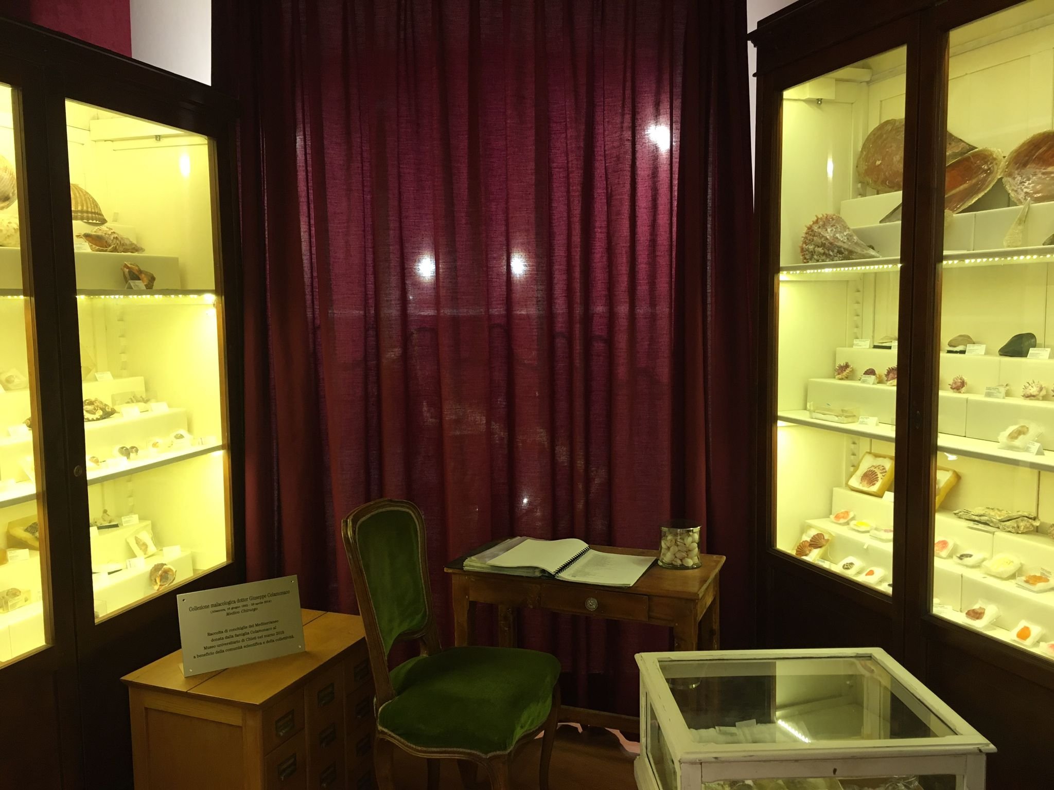 A Chieti il Museo universitario parla di scienza e di umanità