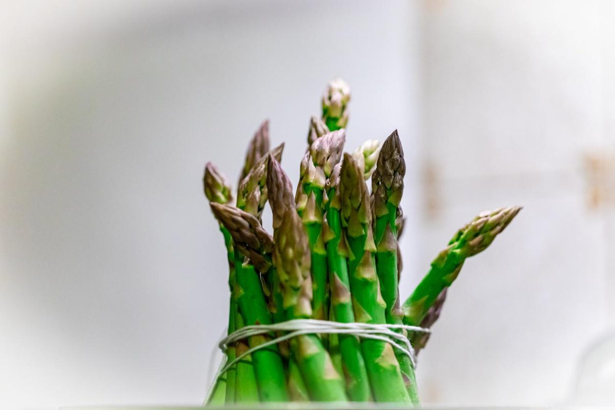 Galleria foto 'Cinque metodi per liberarsi della cellulite' - foto 17