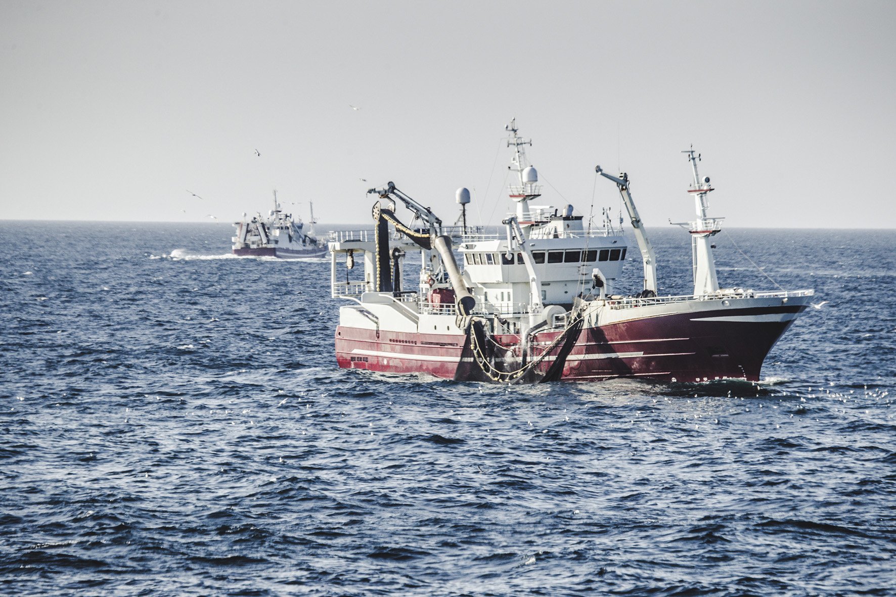 Acque  agitate  nel  Mediterraneo