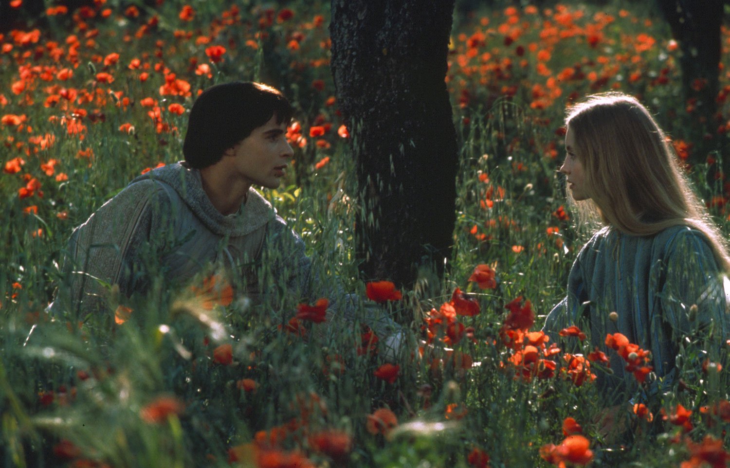 Fratello Sole, sorella Luna  di Zeffirelli torna al cinema. Senza Paul McCartney