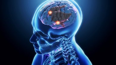 Neuroscienze: ecco come il cervello «fa politica»