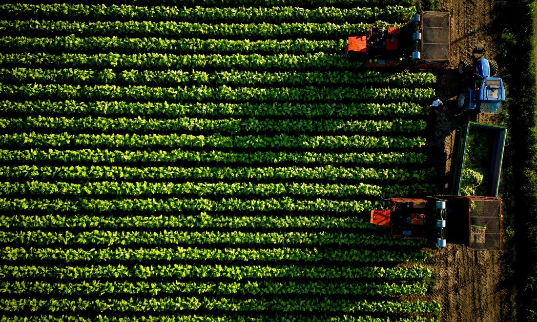 Tabacco, Philip Morris investirà in Italia fino a un miliardo in 10 anni