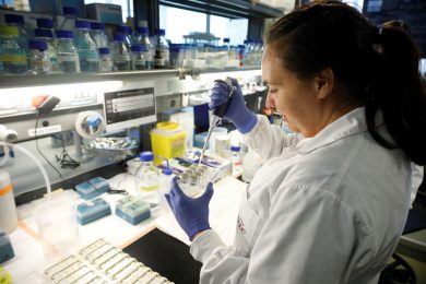 Tumore al pancreas: a che punto è la ricerca