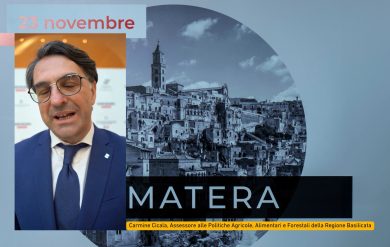 Panorama on the road: Intervista a Carmine Cicala