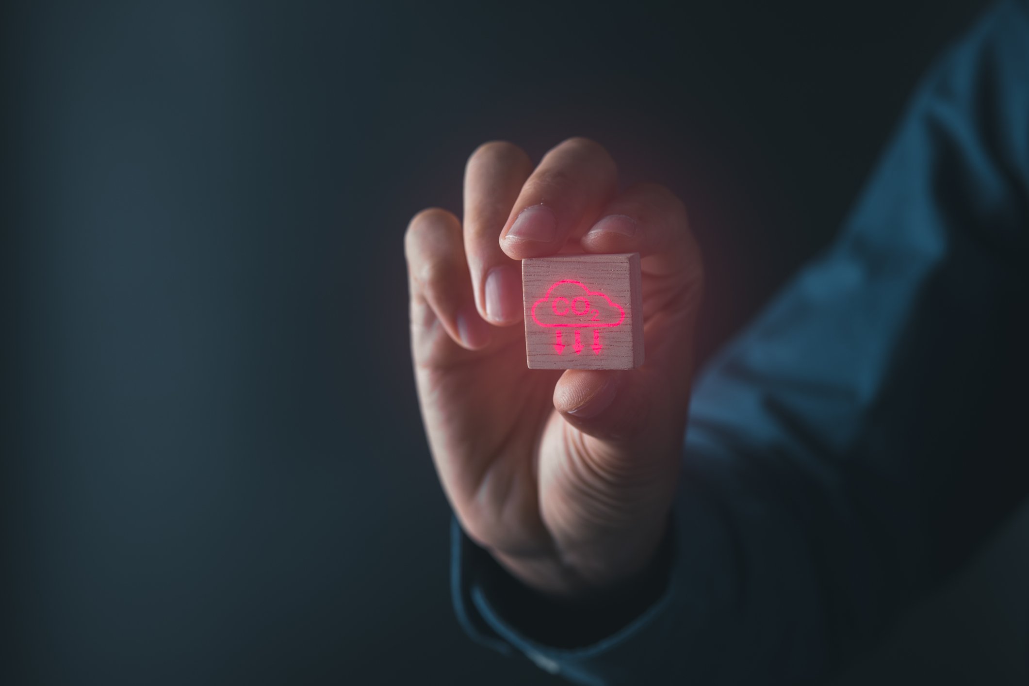 Quanto è importante il mercato dell’offsetting di emissioni di CO2?