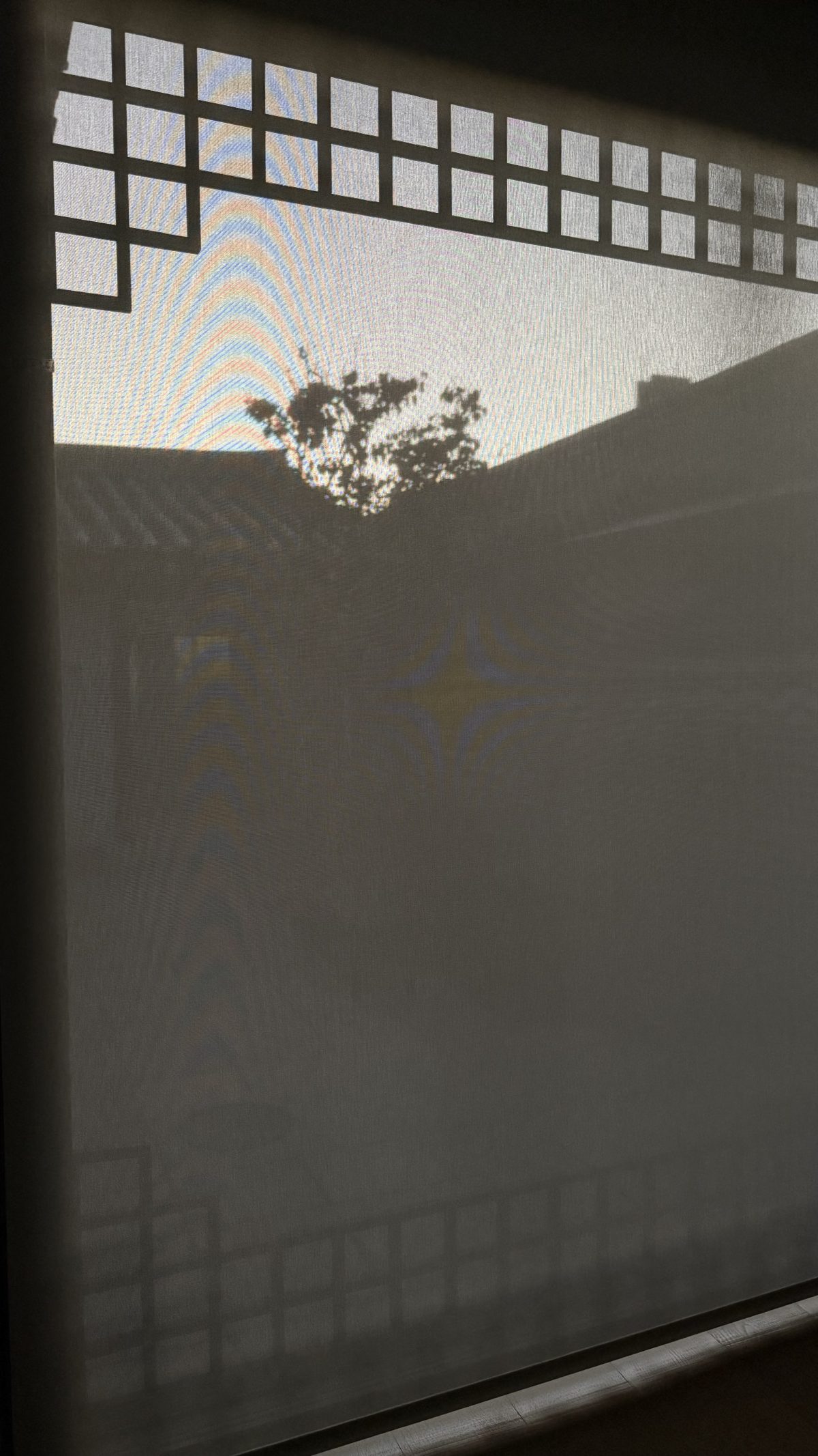 Galleria foto 'Un viaggio nel tempo: soggiornare in un hanok a Seoul per scoprire il cuore della Corea del Sud' - foto 18