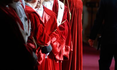 Il braccio armato della legge