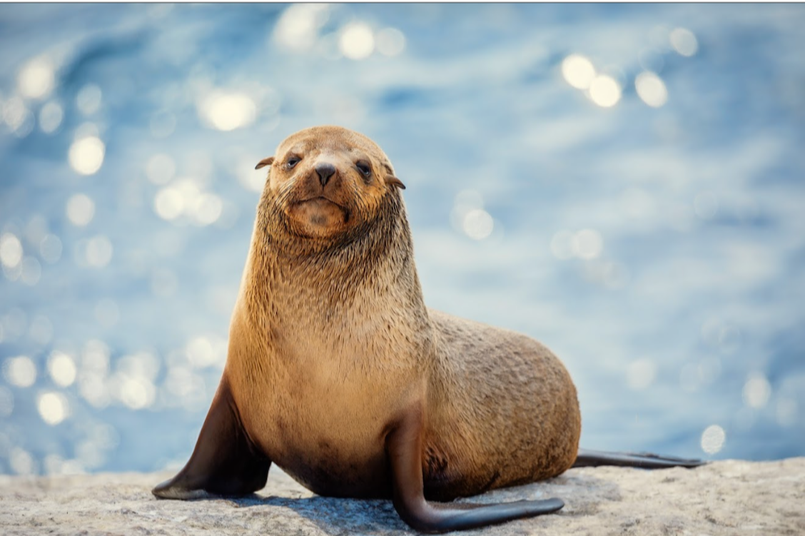 “I segreti degli animali”: la docuserie di Apple TV+ rivela comportamenti sorprendenti nel regno animale