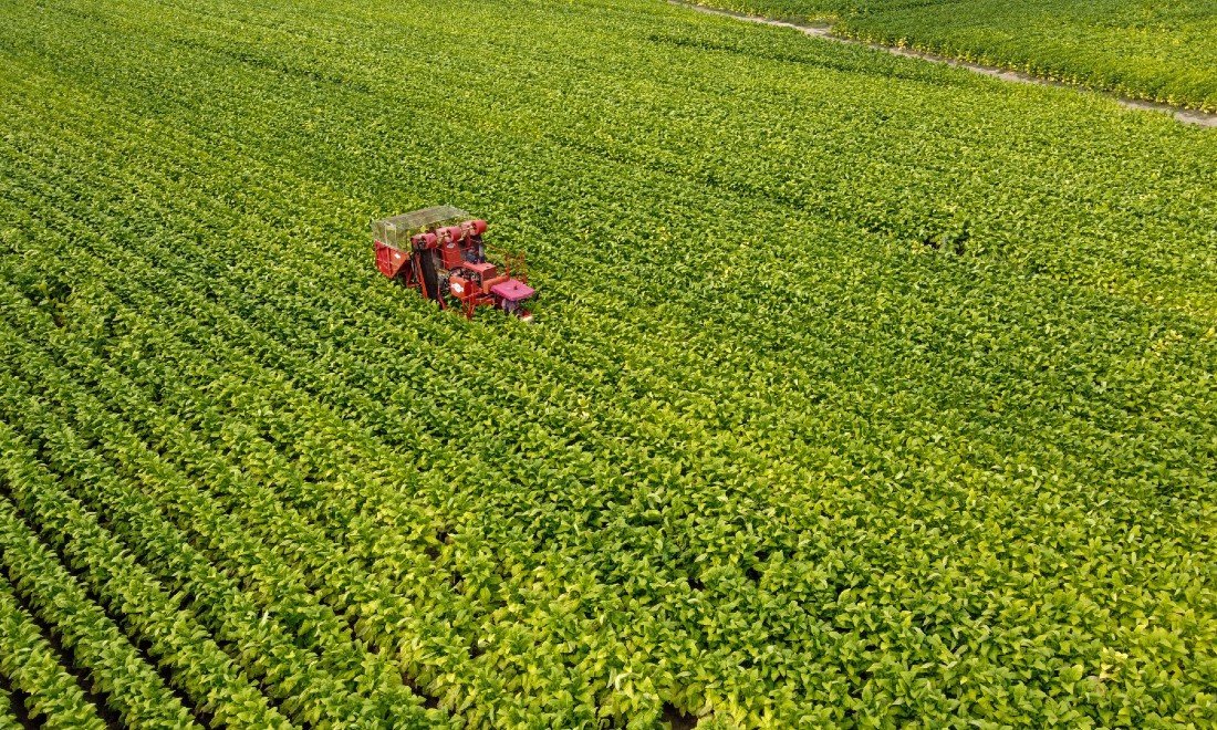 Il Giornale Dell’Agricoltura: Gli imprenditori che hanno vinto la sfida dell’innovazione