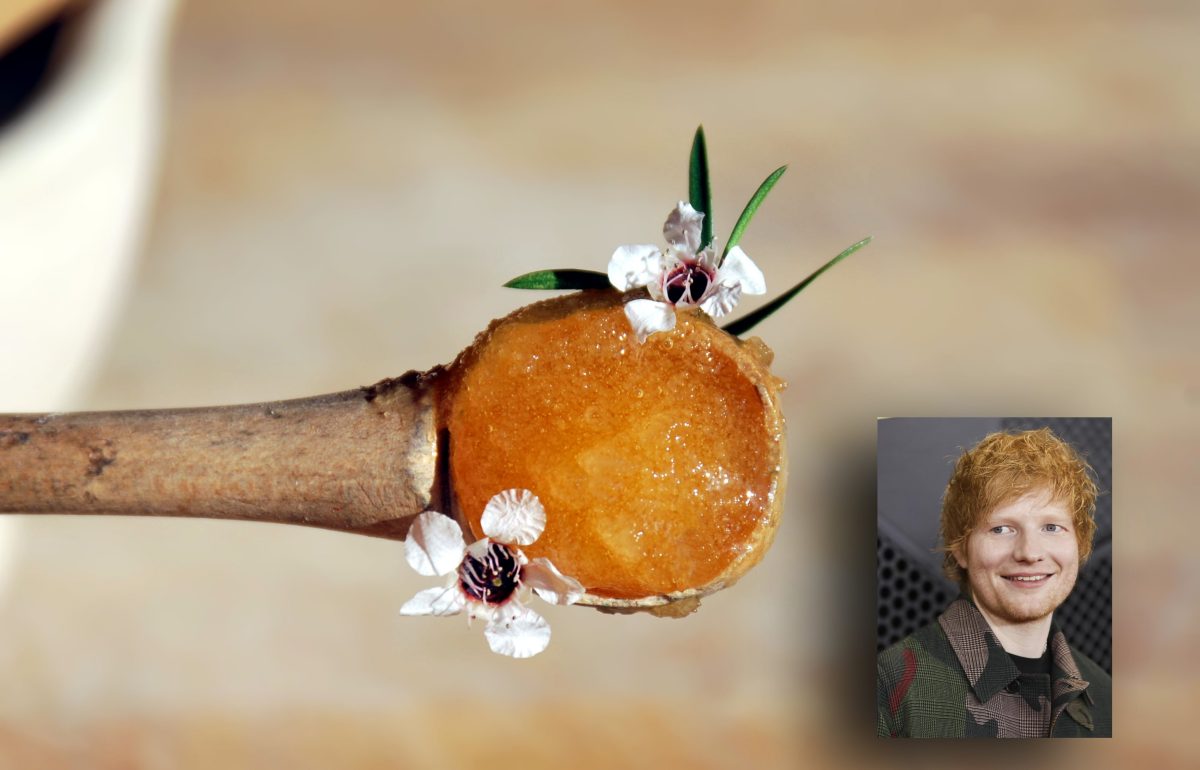 Galleria foto 'Le voglie bizzarre delle star' - foto 2