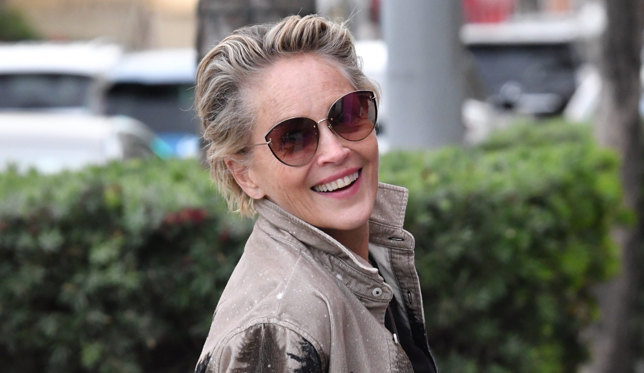 Le confessioni di Sharon Stone: «Non sono più quella di Basic Instinct»