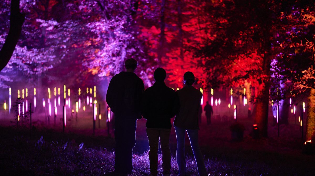 Galleria foto 'Viaggio nella luce' - foto 3