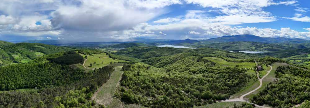 Molecole verdi, meno emissioni, biodiversità: così la transizione per Snam