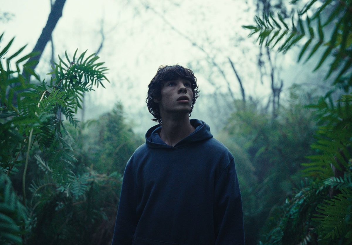 Galleria foto 'I film più belli del 2024' - foto 5