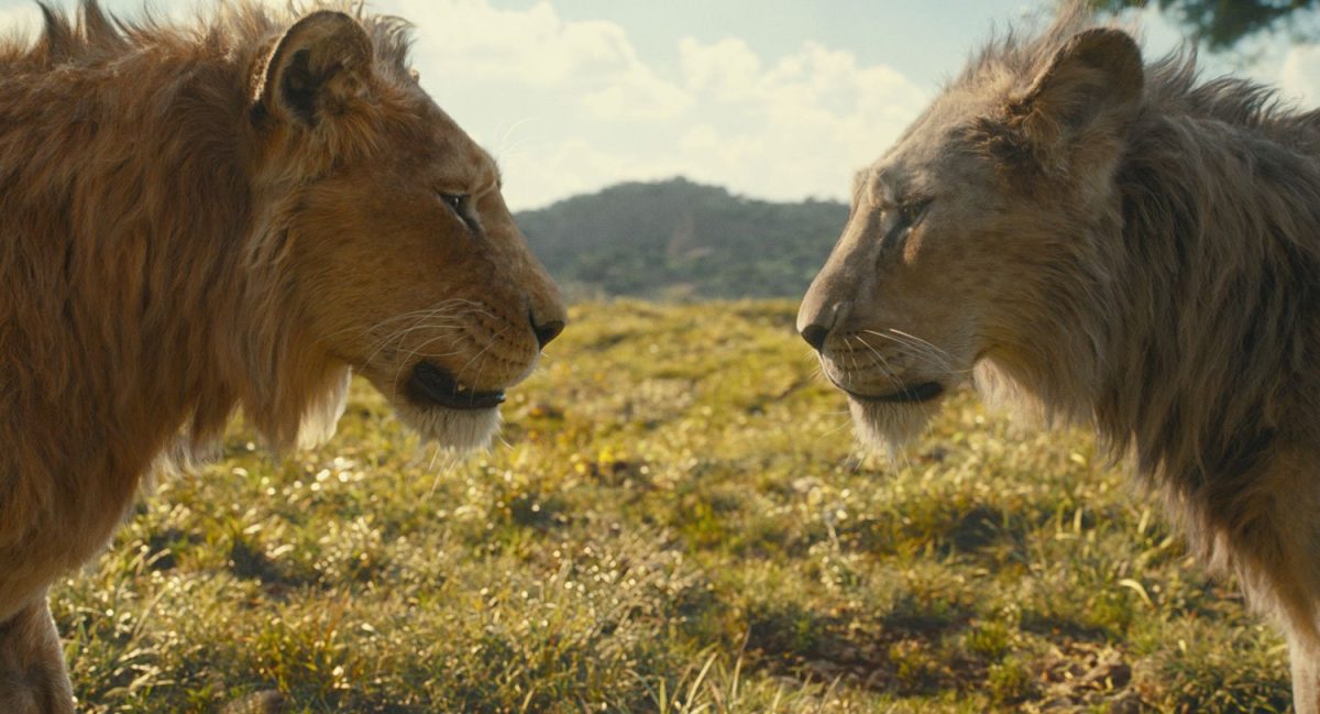 Galleria foto 'Mufasa: Il re leone, Barry Jenkins non basta – Recensione' - foto 3