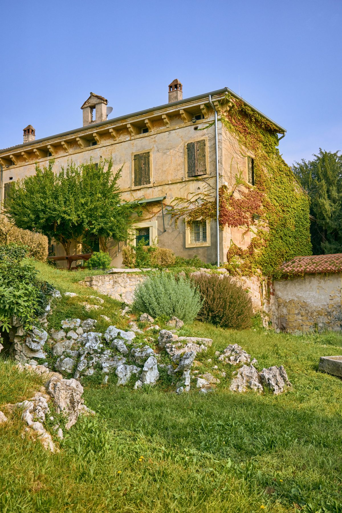 Galleria foto 'Tenuta Villa Bellini: il cuore segreto della Valpolicella, dove la terra respira eternità' - foto 5