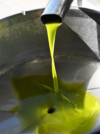 Olio extravergine d’oliva, prezzi raddoppiati: +112% rispetto al 2021